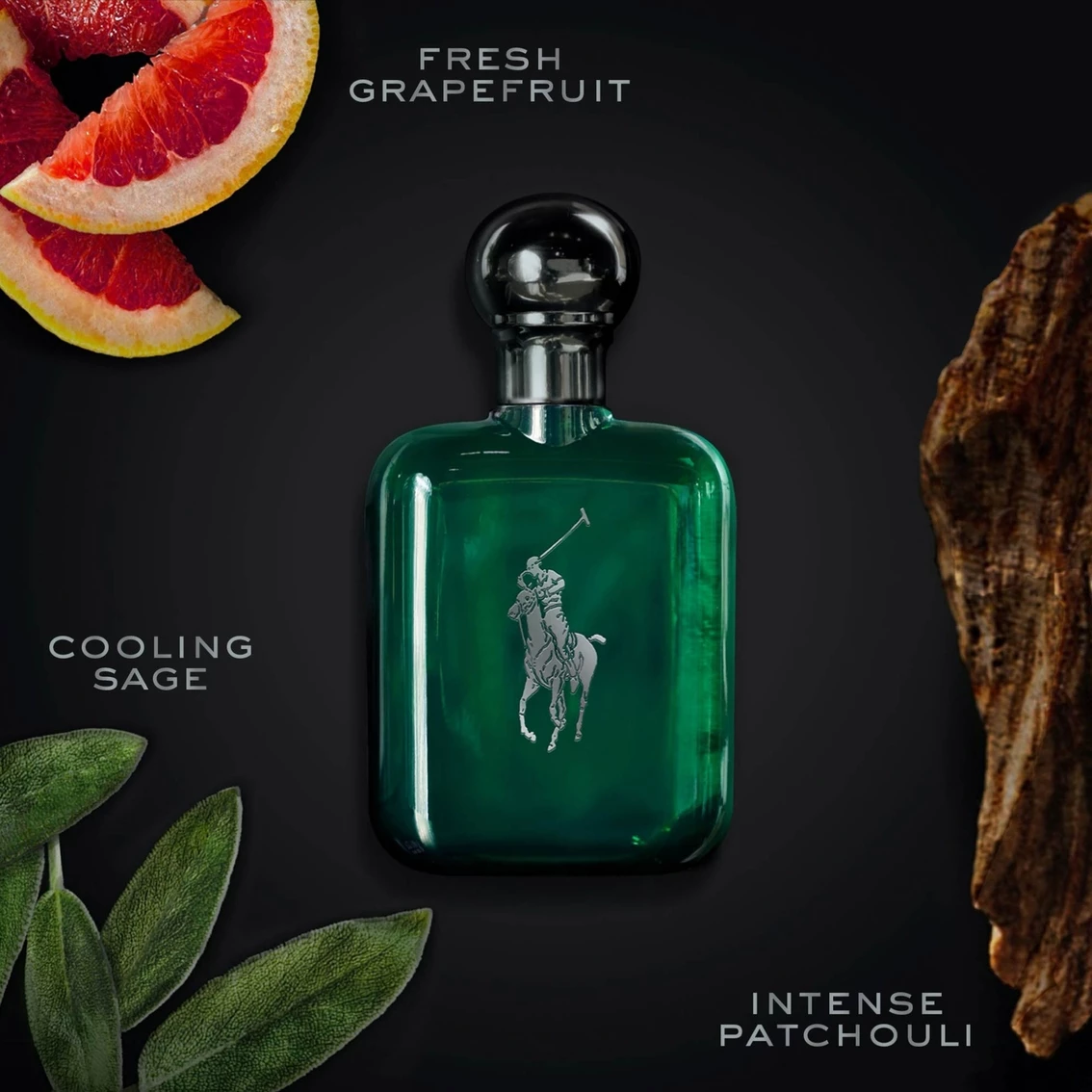 Outlet โญ Ralph Lauren Polo Cologne Intense Eau De Parfum ๐คฉ - Image 3